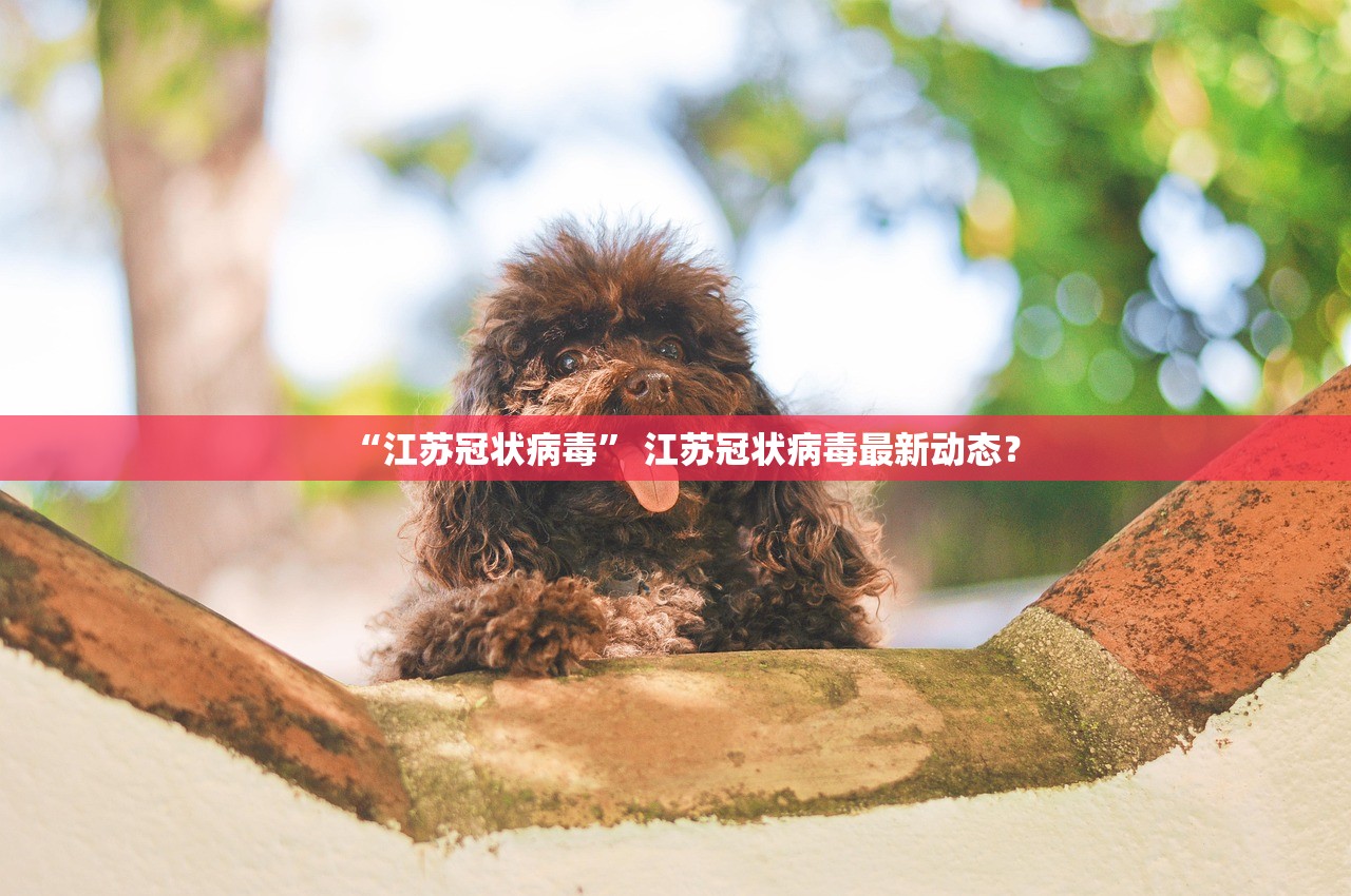 浙江省新增42例〃浙江省新增12例 浙江省新增42例〃浙江省新增12例