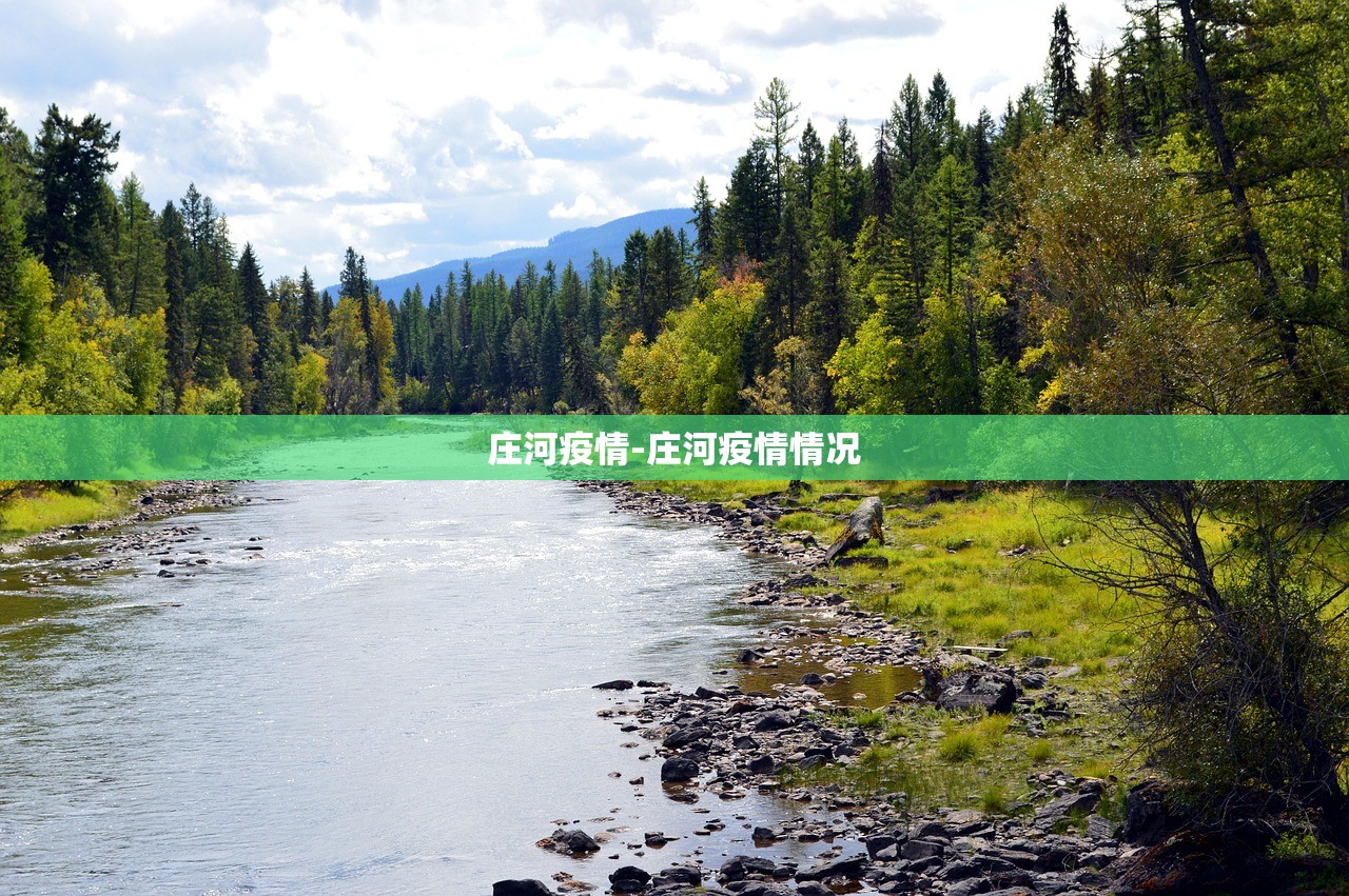 庄河疫情-庄河疫情情况