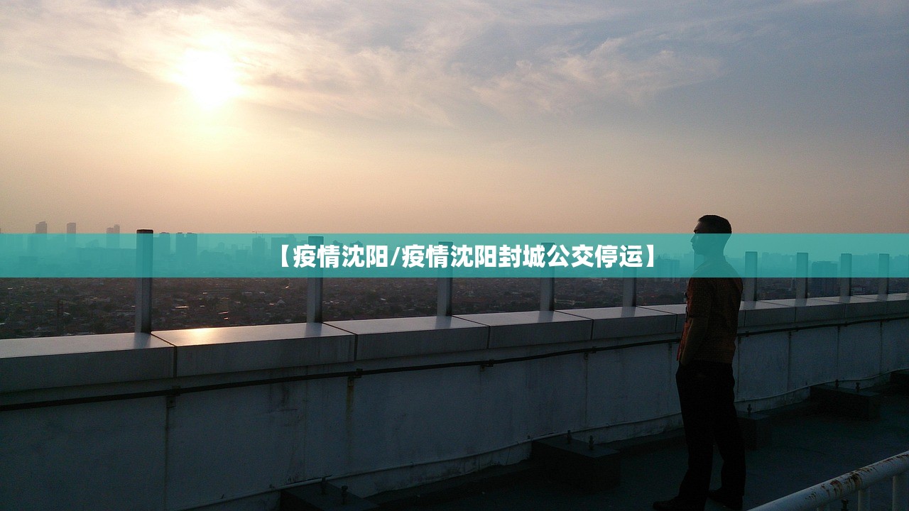 【疫情沈阳/疫情沈阳封城公交停运】