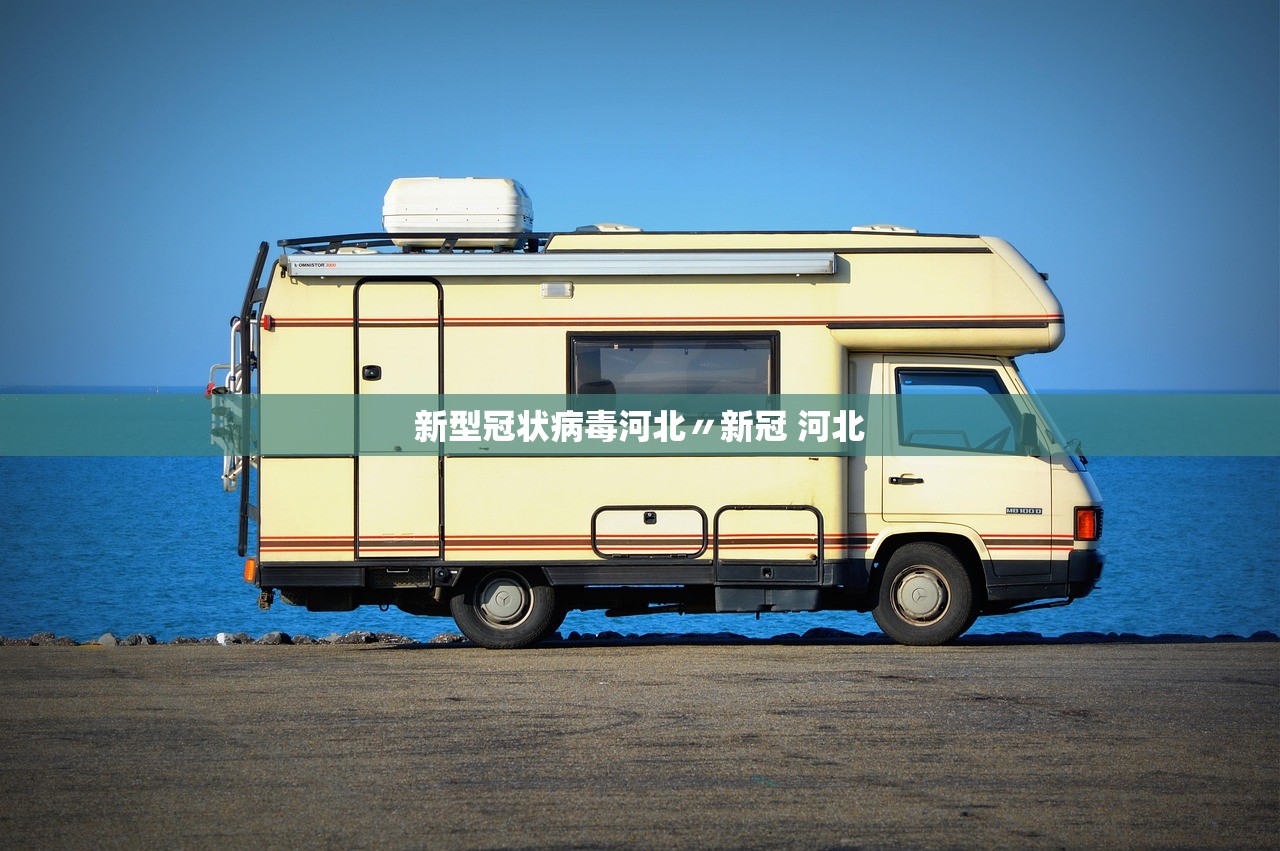 新型冠状病毒河北〃新冠 河北