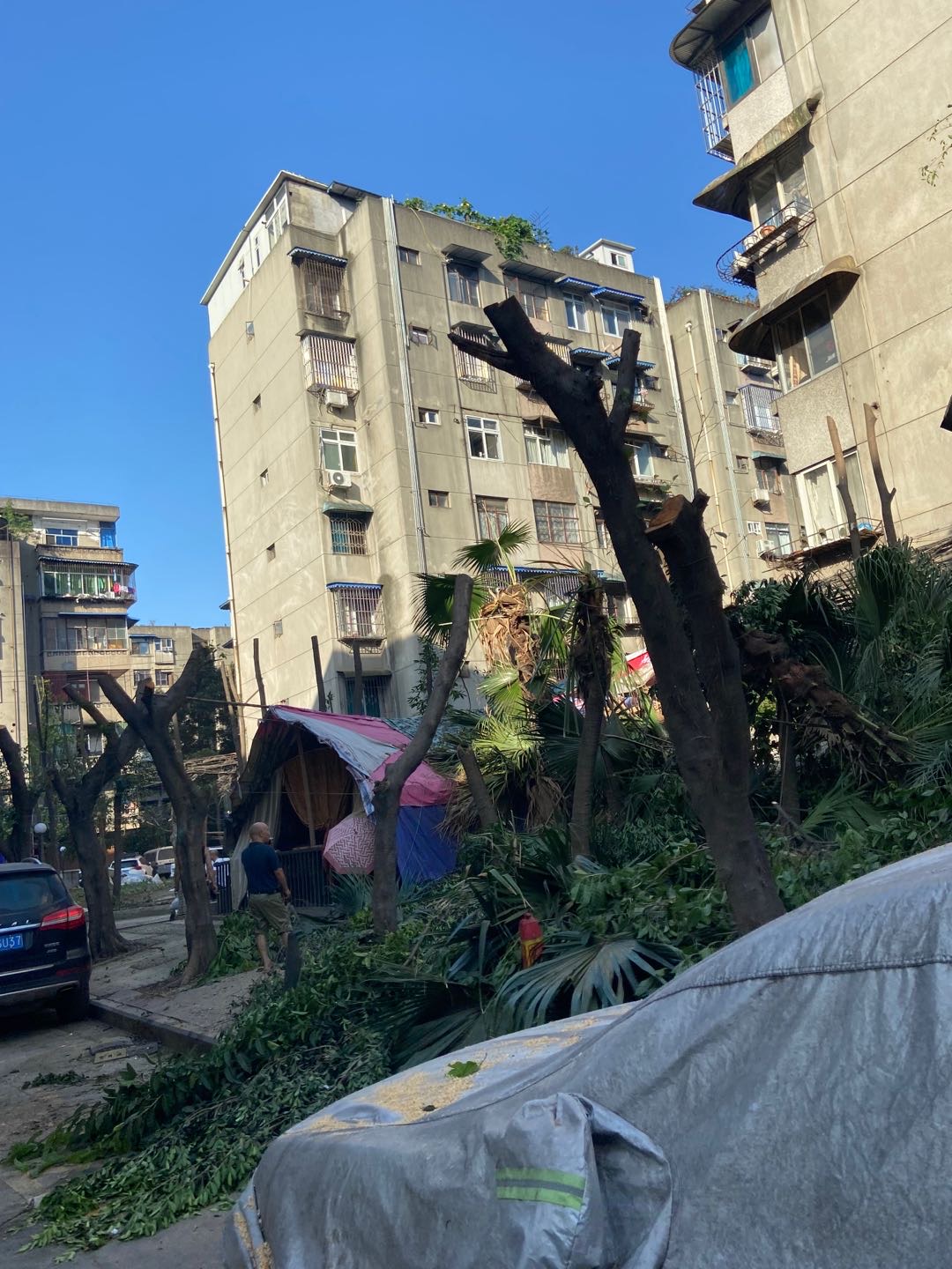 成华区解封最新消息.成都成华区封闭小区什么时候解禁-第1张图片