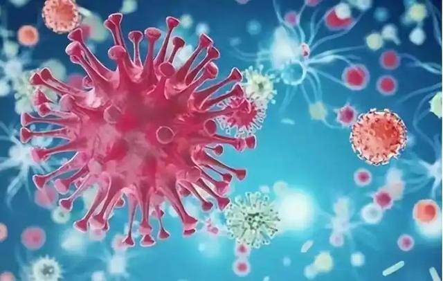 “最新新冠病毒” 最新新冠病毒毒株?-第2张图片