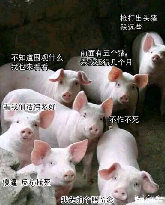 丹东最新疫情通报-丹东疫情最新动态-第1张图片