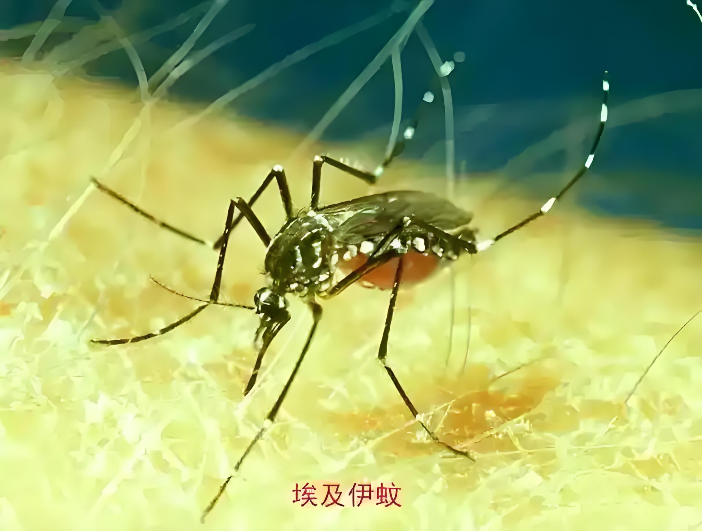 “31省增14例境外输入” 31省新增24例均为境外输入?-第2张图片