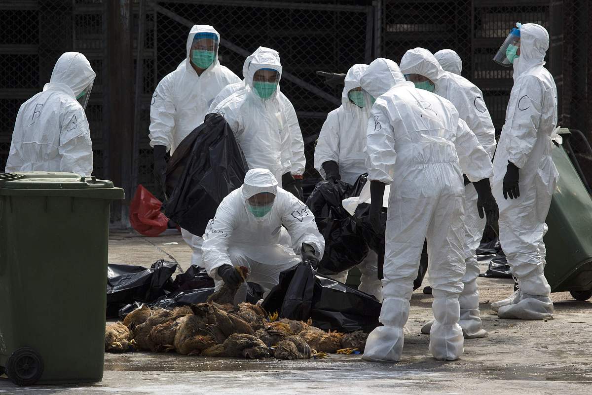 上海又出现一例本土病例,上海又出现一例本土病例了吗