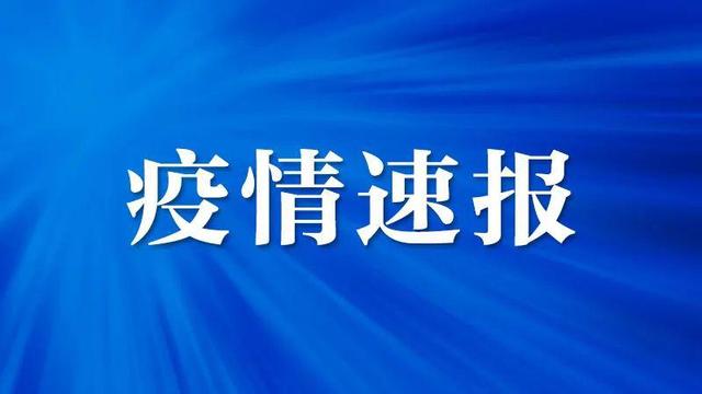 北京新增境外输入病例11例︰(北京新增境外输入感染者详情公布)