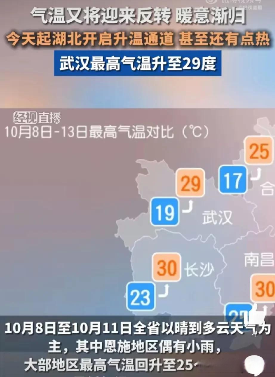湖北新增病例,湖北新增病例最新情况-第2张图片