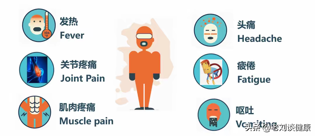 境外输入病例︰(境外输入病例指发病前几天内有登革热)-第2张图片
