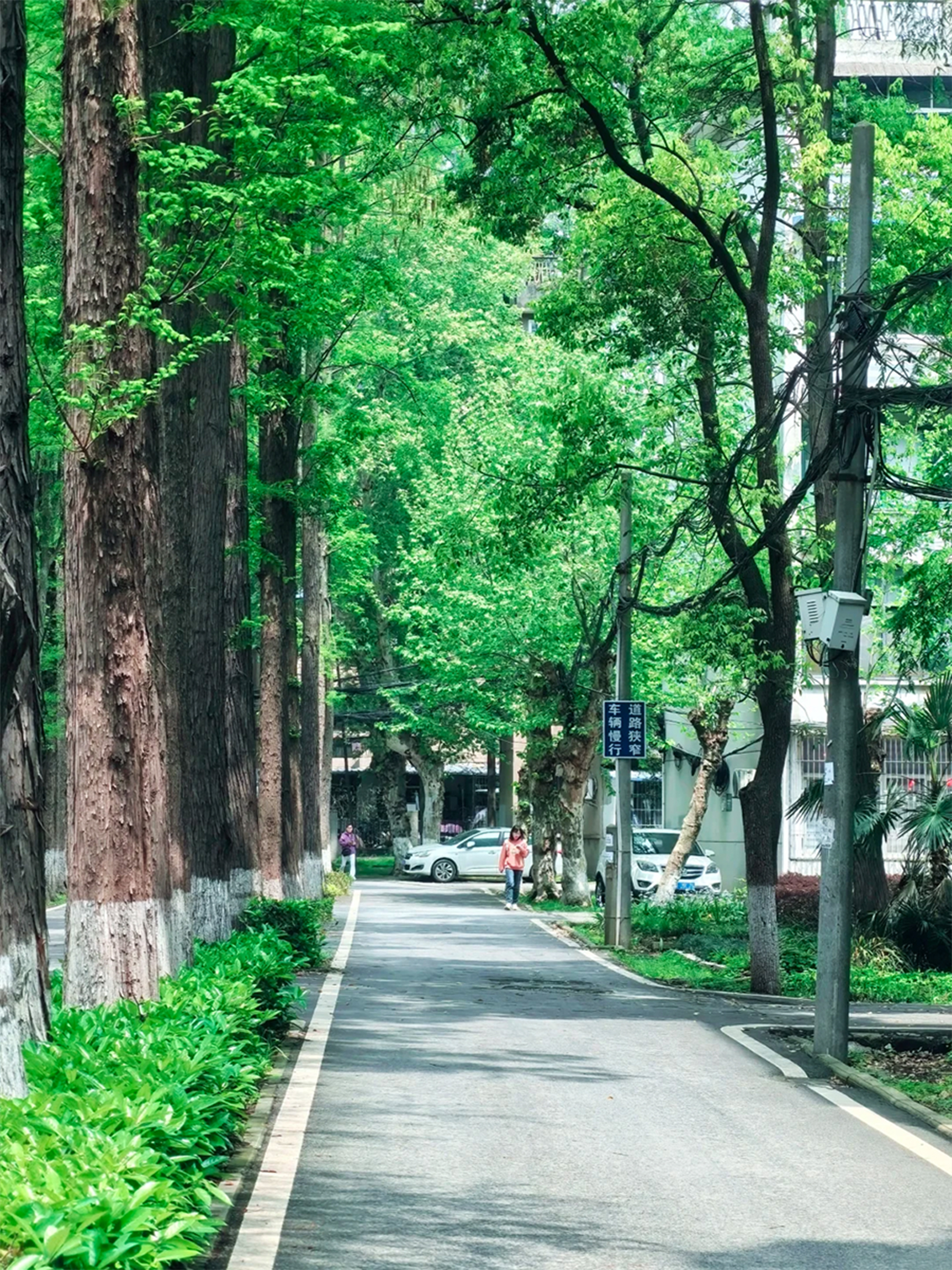 湖北新增-湖北新增博士点-第2张图片